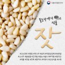 불로식품