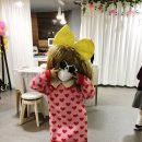 거원 어린이집 | 우리들의 크리스마스[거원초/거원초피아노/거원초픽업/꿈누리반픽업/