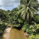 우림교역 이미지