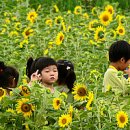 유가유치원(공립) 이미지