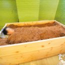 생생생공화국 이미지