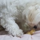 반했다 너한테 이미지