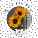 구일상회 | 6월 3주차 일기 : 여름이 싫어도 이겨내야겠지요