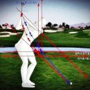 비타민 스크린골프 이미지