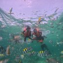 패밀리파크 물놀이시설(수영장) | 세부 제이파크 리조트 패키지 여행 후기 하나투어