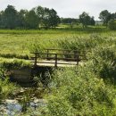 초록바람 이미지