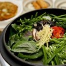 바위집염소 이미지