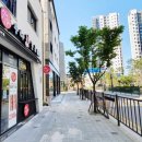 닭치면돼지 이미지