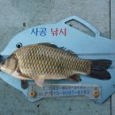 제일낚시