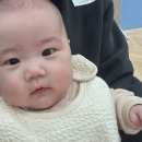 플레이풀용인