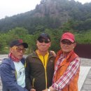 거시기농원 이미지