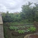 버스정류소_샛기정공원 | 제주도 제주시 토지매매 도두이동 신성마을