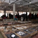 여행가자 주식회사 이미지