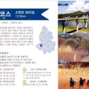 선기로1-6 이미지