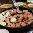 오리한마리 이미지