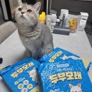멍냥이노리터 | 멍냥이 노리터 두부모래 솔직 후기
