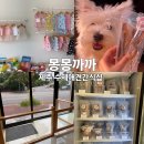 몽몽까까 이미지