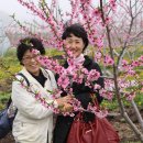 옥산농원 이미지