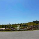 5월의 기록 : 순천만국가정원/이진상회/구리한강공원 캠프닉/구리 유채꽃 마라톤/5월 일상
