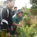 안산이농장 이미지