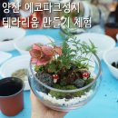 에코파크성지 | 양산 어린이 야외체험 에코파크성지 이끼 테라리움 만들기, 허브농장 구경