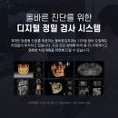 김치과
