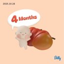 아이봄동물병원 | [임신 11,12주차] 난임병원 졸업과 분만병원 전원 • 태몽꾸다! (연세아이봄 ➡️ 산본제일병원)