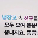 그림책 뮤직스토리 이미지