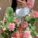 땡스트리