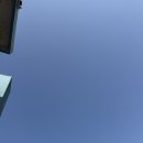 카페하라 | 인천 차이나타운 커피 맛있는 카페 블루하라 첫번째 방문 후기