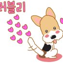 꽃나비다육