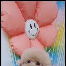 강아지와 고양이 이미지