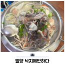 곱창에반하다 | 밀양 위양지 근처 현지인 맛집 낙지에반하다 후기