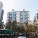 성호공인중개사사무소 이미지