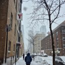 영어반(초급)-오전 | 내돈내산 캐나다 몬트리올 어학원 후기 - YMCA 불어 (비용, 위치, 장단점 등)