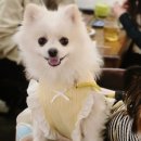 서운체육공원 (양궁장입구) | 서운동 카페비읍미음 서운점 후기｜애견동반 가능한 아늑한 주택개조 카페