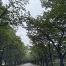 호암어린이공원1 | 용인 아이와 가볼만한곳 호암미술관｜2026 아트스펙트럼 희원 수변공원 후기