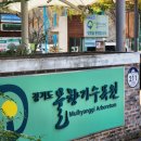 원대 수목원 | 오산 물향기수목원 가을 단풍 나들이 후기 - 입장료 주차 애견 정보