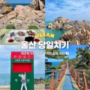 목포해물나라 | 울산 당일치기 여행 코스 추천 부모님과 국내여행 가볼만한곳