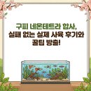 구피(guppy) | 구피 네온테트라 합사, 실패 없는 실제 사육 후기와 꿀팁 방출!