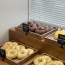 카페리코 이미지