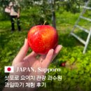 과일나무 - 공주시 번영1로 126 | 니토리 관광 과수원 Nitori Tourist Orchard / Yamamoto Orchard ニトリ観光果樹園 과일따기 체험후기