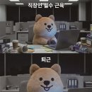 꽃카