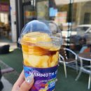 매머드커피 익스프레스 경산중산점 이미지