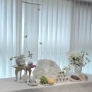 UR(파주시)-[책향기로]-상-7 | 아기 백일떡 추천 파주 운정떡집 미오(MI,OH) 백일상차림세트 금액 및 구성 내돈내산 후기🍡🩷