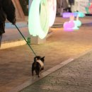 GS25 신림성화점 이미지