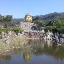 와우정사 이미지