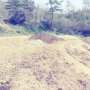 봉화농장 이미지