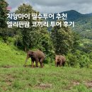 코끼리셀프 | 치앙마이 코끼리 투어 내돈내산 | 엘리핀팜, 반캉왓, 싸이프레스 레인 예약 및 후기