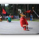 추암일출과 갯메꽃..삼척장미축제,강릉허난설헌기념관 이미지